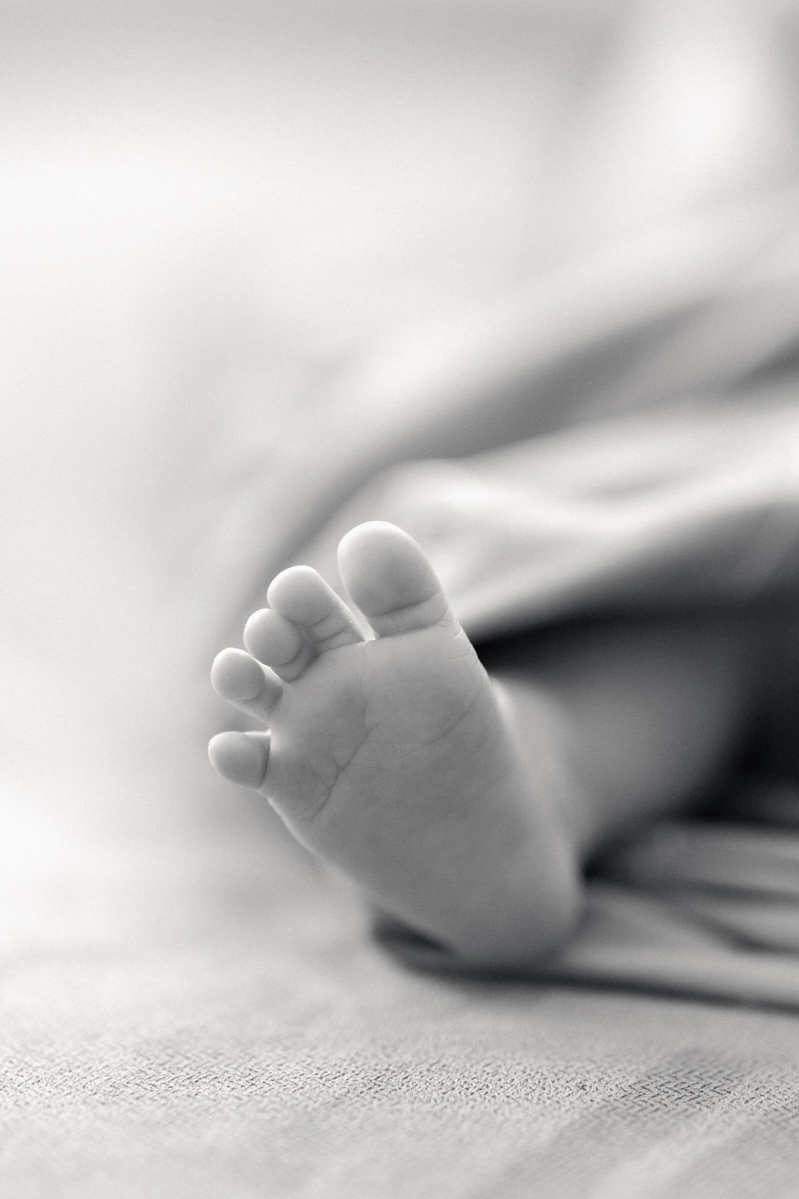 Black and white photo of newborn foot