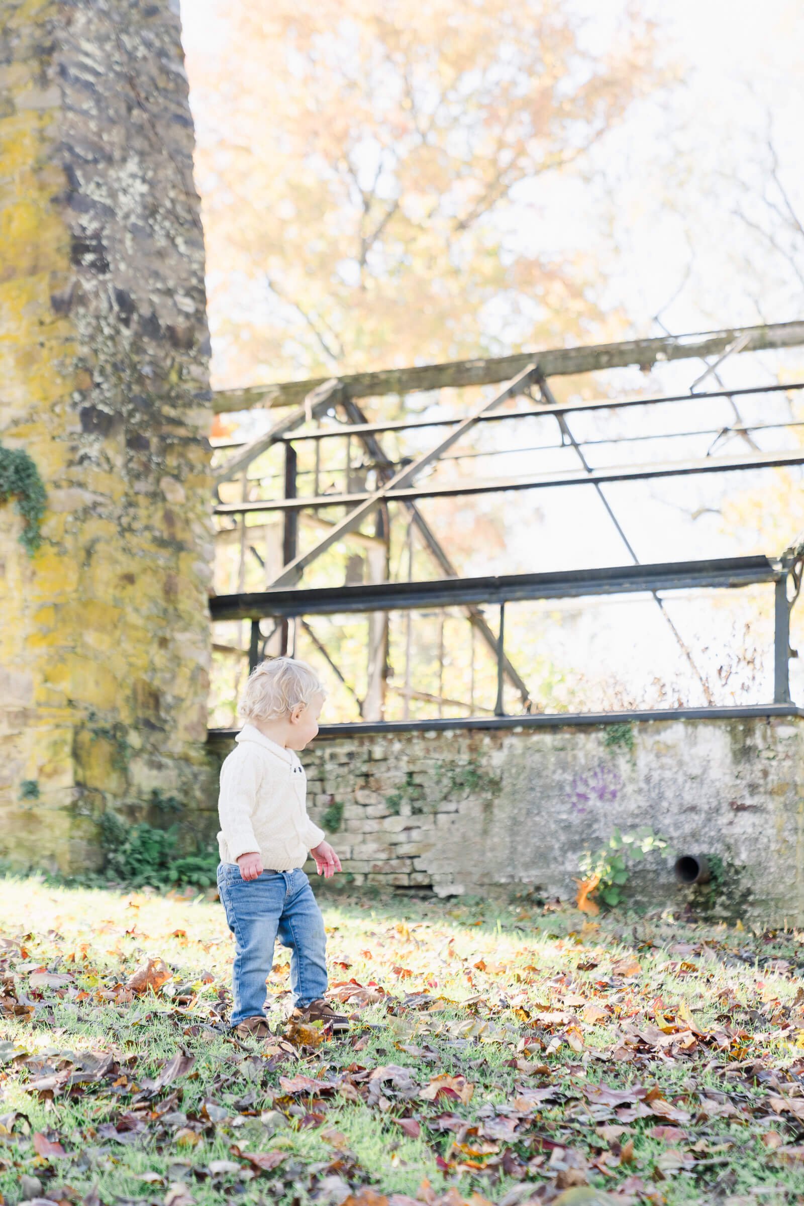 Little blonde boy playing in the fall