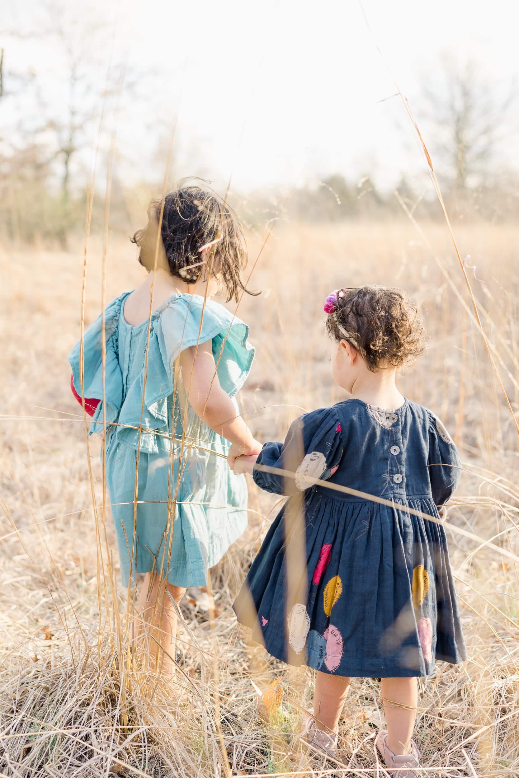 Two little girls in blue dresses holding hands in a field by Moorestown Family Photographer Courtney Landrum.