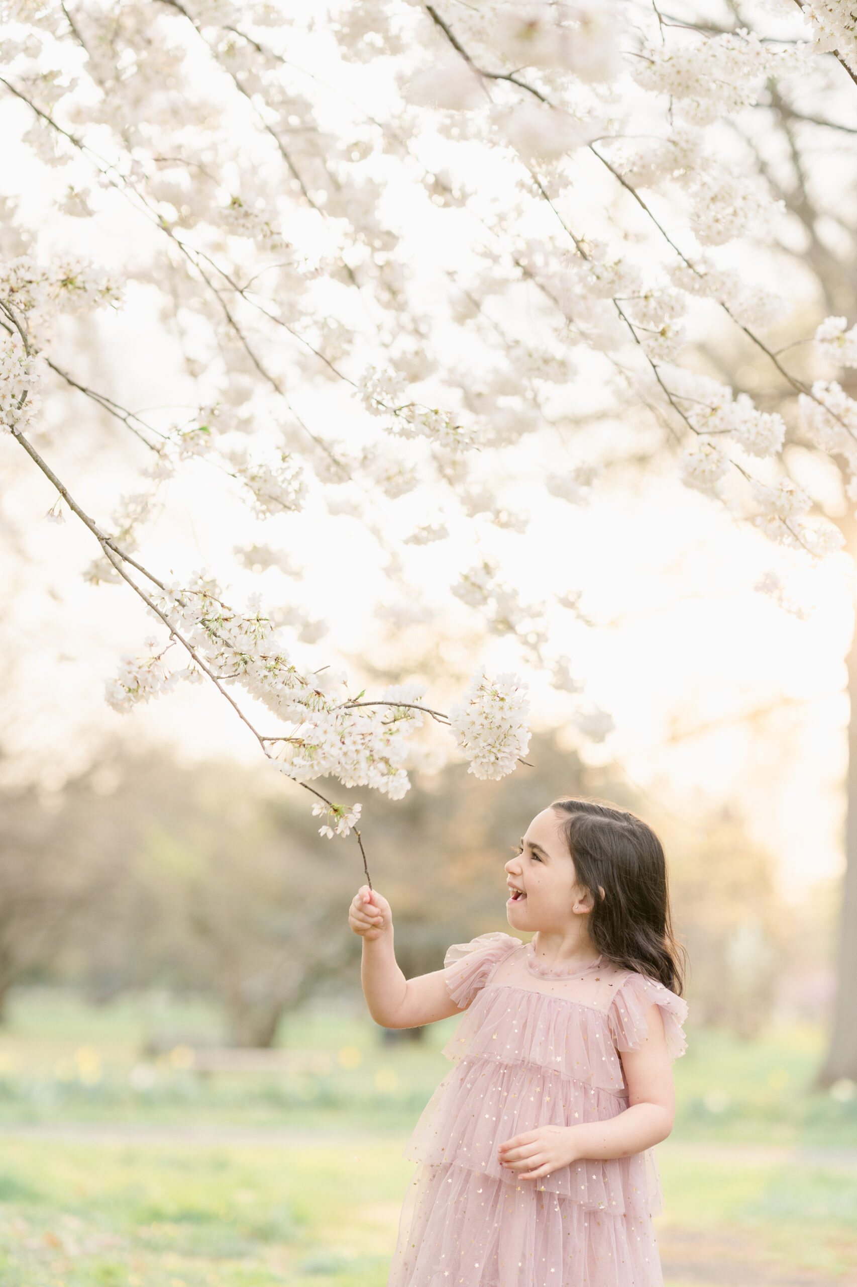 A little girl wearing a pink tulle dress tugs on a fluffy white cherry blossom branch and smiles.