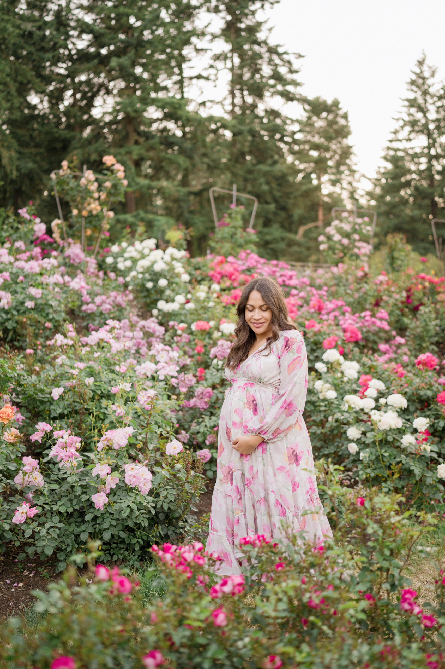 A pregnant woman at 5 months holds her bump and walks through a garden of roses.