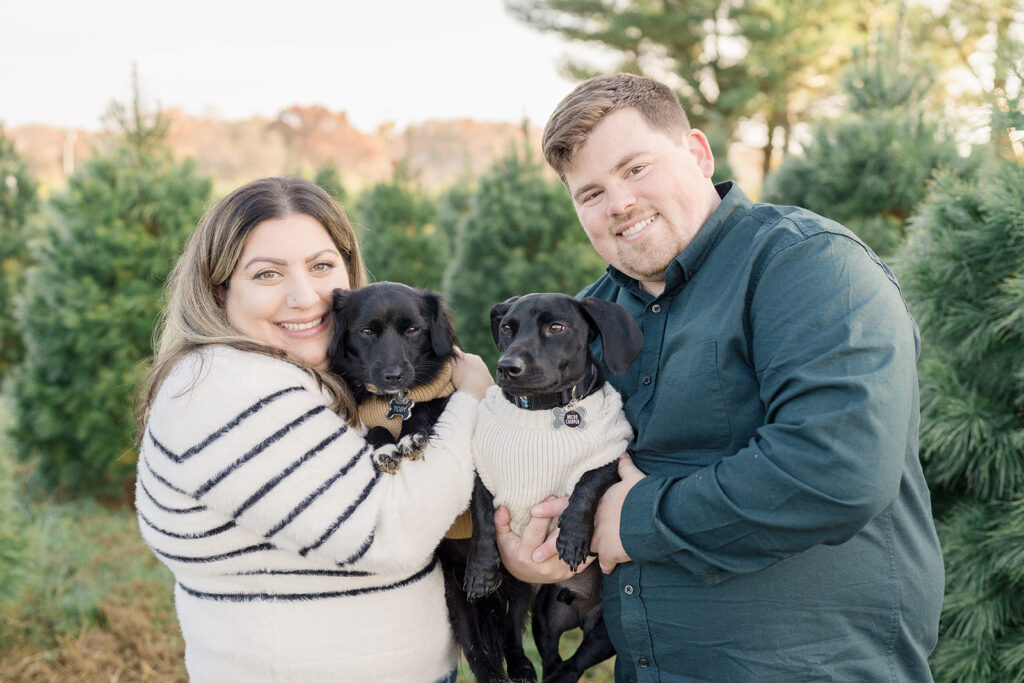 Two dogs at a christmas tree farm mini session in Monroeville, NJ.
